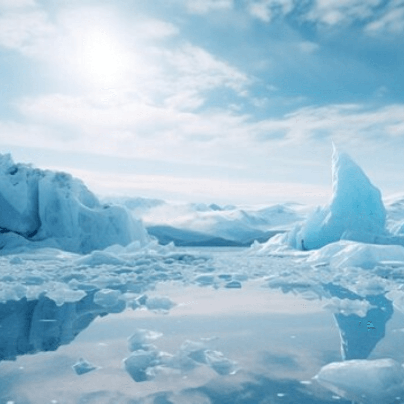 Frozen Food