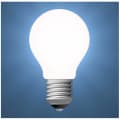 Light Bulbs & Lamps🔋💡