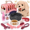 Pet Toys & Accessories🐶 🐈 